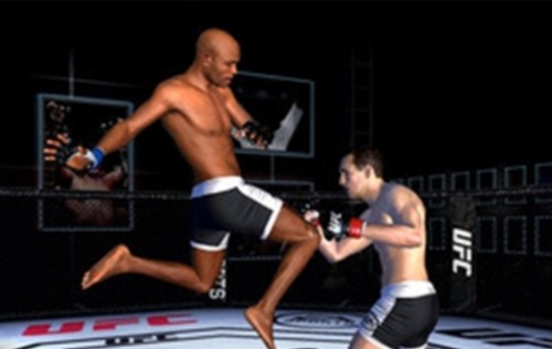 UFC终极格斗冠军