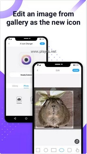 x icon changer安卓