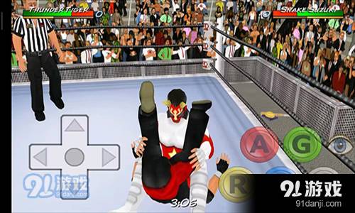 摔跤革命3D汉化版