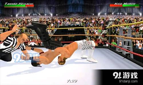 摔跤革命3D汉化版