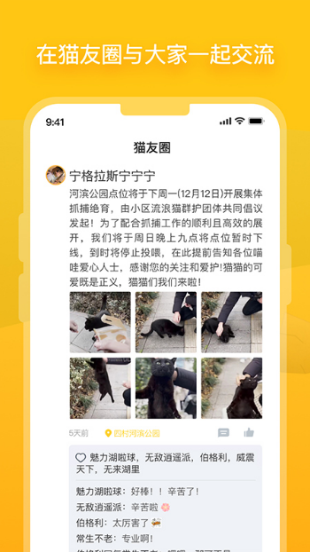 哈啰街猫最新版v1.0.1