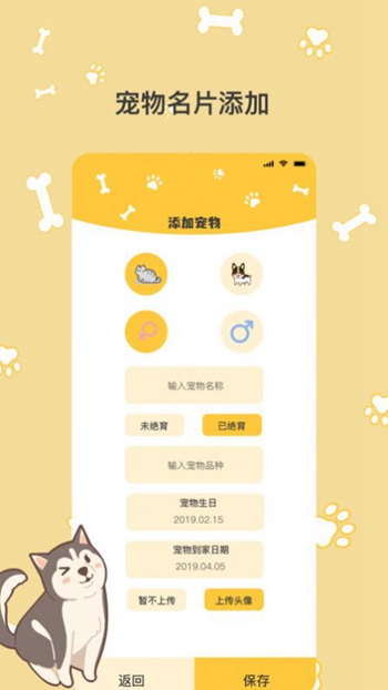 猫语翻译Pro游戏