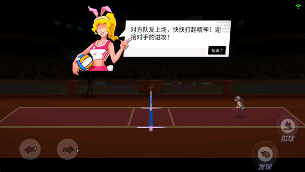 排球竞技场全明星