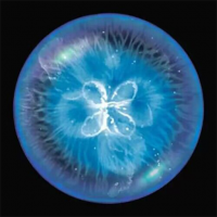 全民星球模拟器app