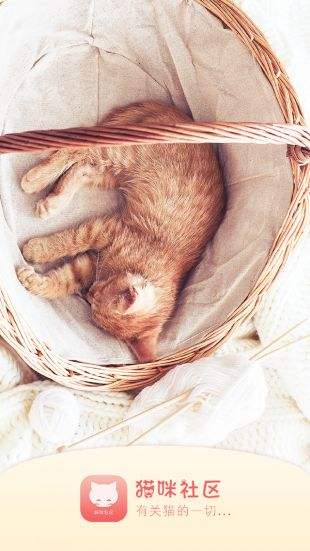 猫咪社区手机版