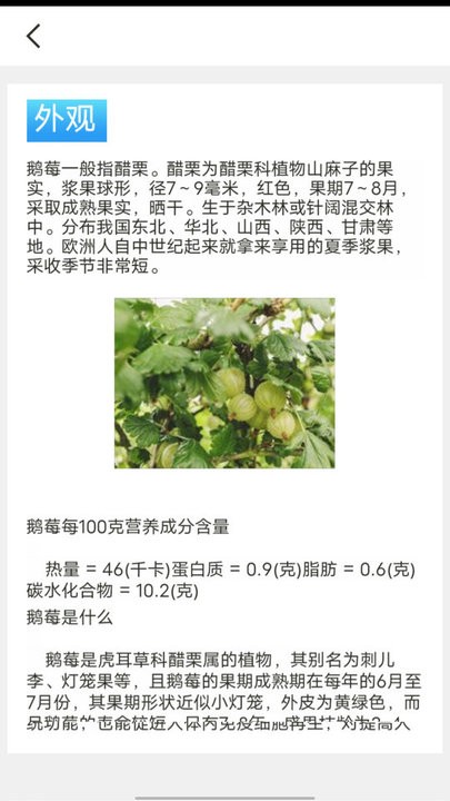 口袋水果知识科普