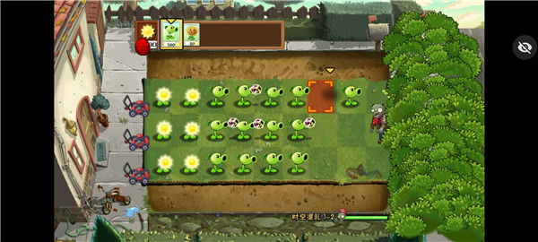 植物大战僵尸世界乱炖