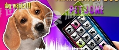 狗狗沟通交流器