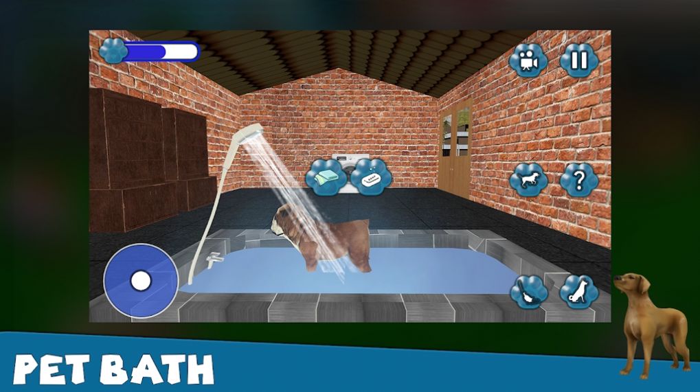 狗救援动物医院