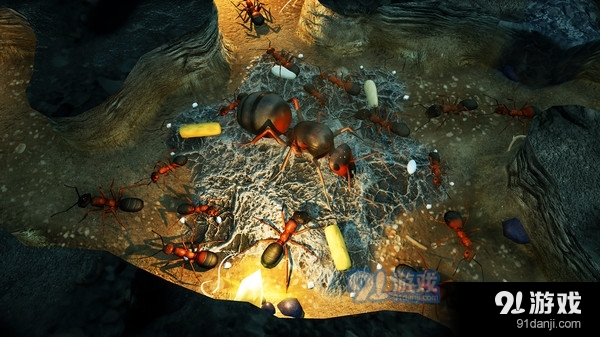 地下蚁国最新版