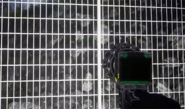 诡异的动物园app