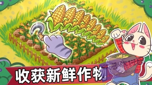 喵斯猫岛农场app