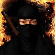 忍者的功夫贼厉害app