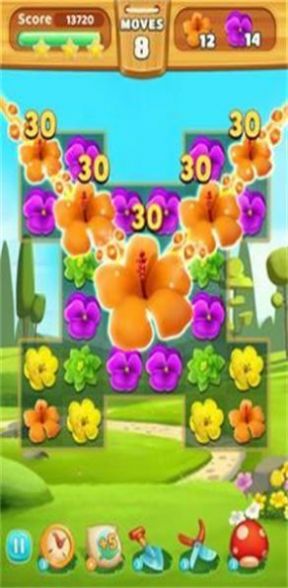 花卉比赛大师app