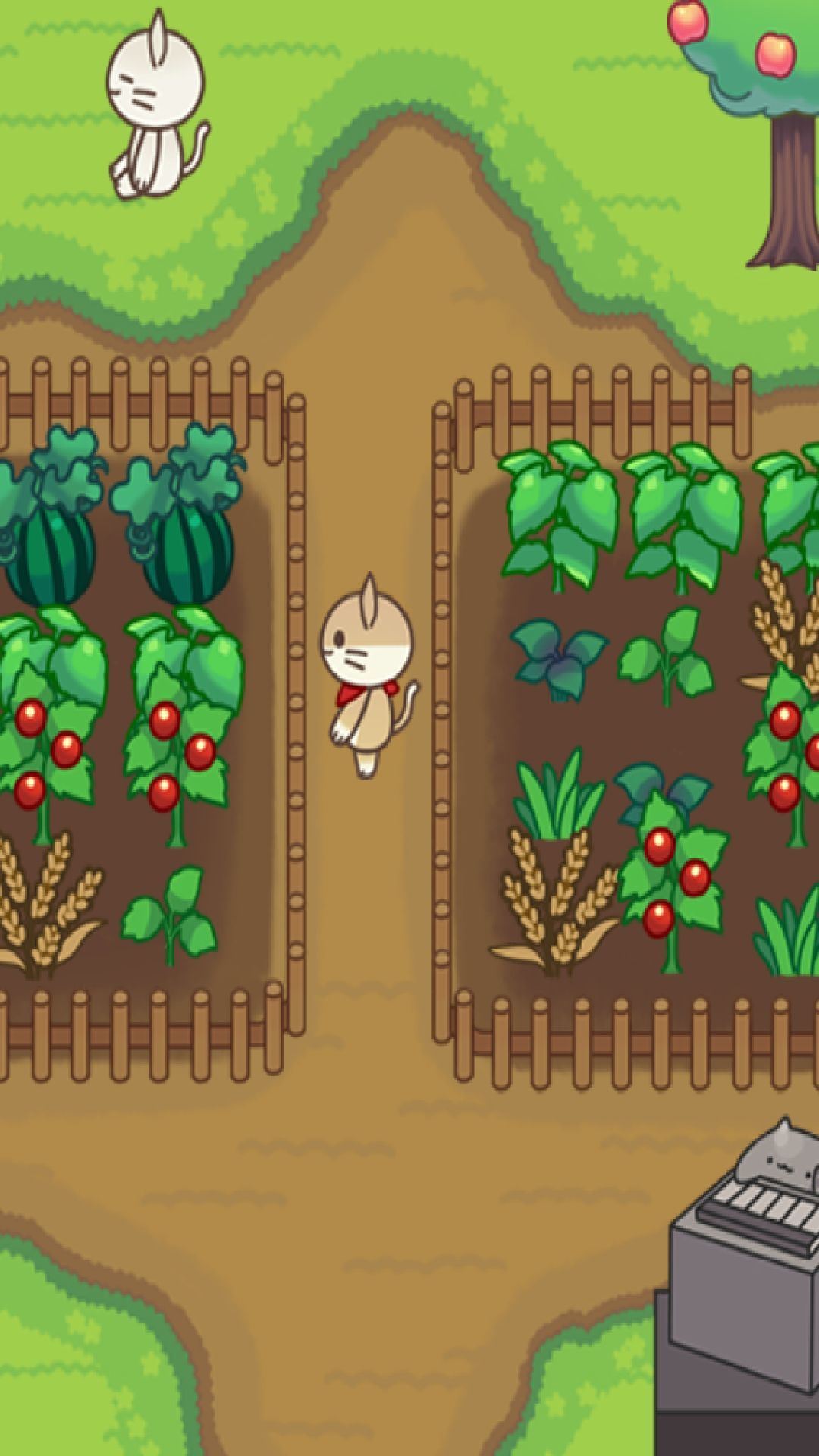 喵呼森林的朋友们app