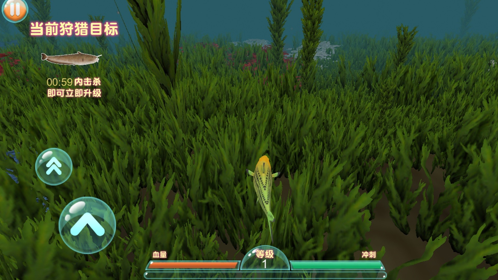 贪吃虫它进化快app