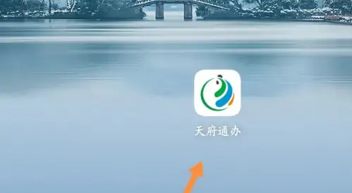 天府通办怎么查询无犯罪证明