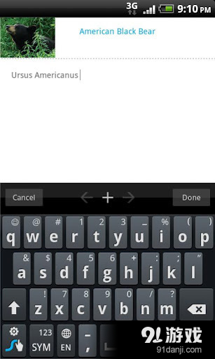 STUDYBLUE Flashcards