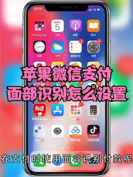 苹果微信如何开启面容支付