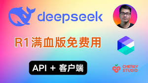 deepseek r1满血版怎么使用
