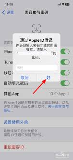 苹果商店人脸识别登录方法