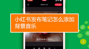 小红书如何添加音乐到作品