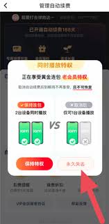 爱奇艺取消连续包年自动续费怎么办