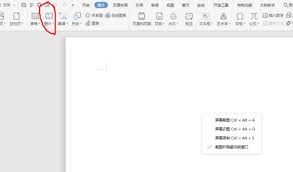 wps电脑版怎么开空白文件和插入图片