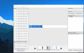 PPOCRLabel如何开启中文界面