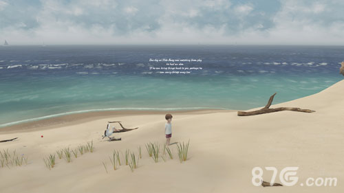 男孩与鹈鹕安卓版