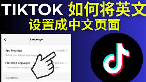 如何将tiktok改成中文