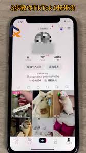 如何获取tiktok视频链接
