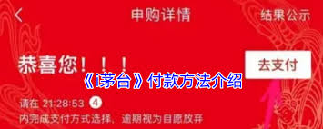 i茅台如何付款