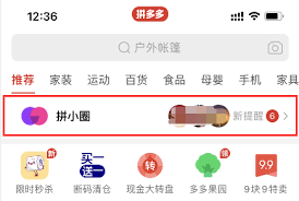 拼多多如何开启拼小圈照片自动整理功能