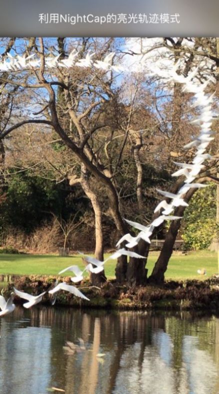 NightCap相机免费版