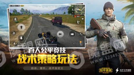 和平精英苹果版