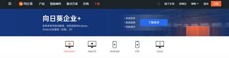 向日葵远程控制连不上怎么办