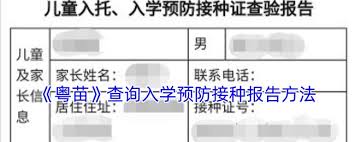 粤苗如何查入学预防接种检验报告
