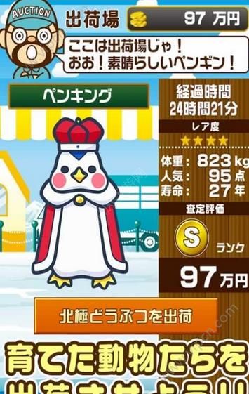 北极动物园手机版