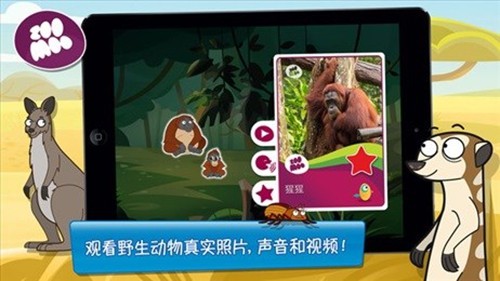 动物好伙伴最新版