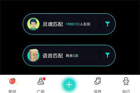 soul阅后即焚照片如何发送