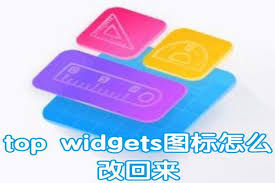 topwidgets如何设置图标
