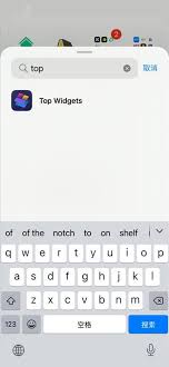 topwidgets如何设置步数