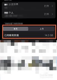 苹果手机实时流量显示位置在哪