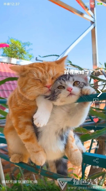 VideoWallpaper(videowallpaper小米)V3.2.3 安卓中文版