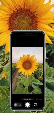 低清相机苹果版