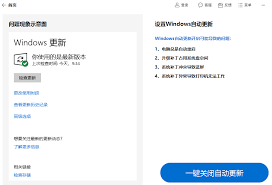 如何关闭windows11自动更新