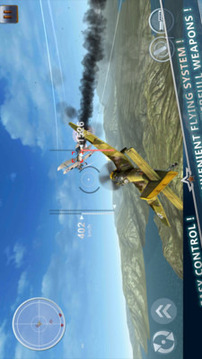 3D空战二战雄鹰