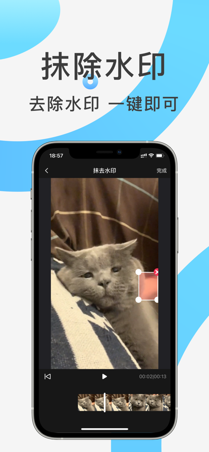 快速水印苹果版