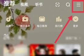 酷狗皮肤如何设置